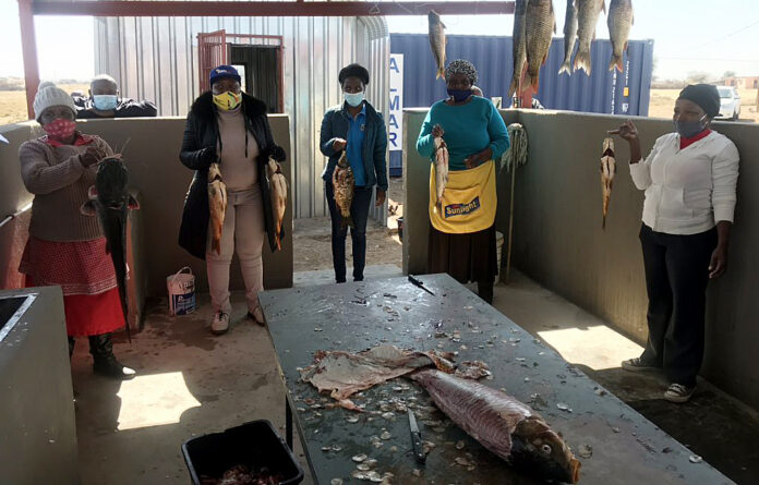 Fish farming creates jobs in rural village 