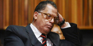 Lesson for Safa as SA sports stars fly our flag high 
