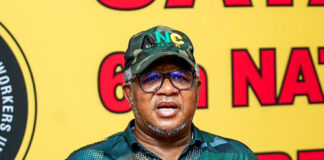 Fikile Mbalula yatch