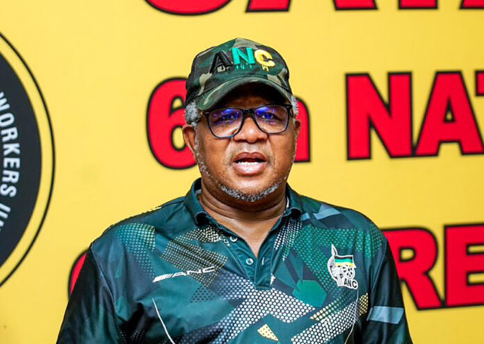 Fikile Mbalula yatch