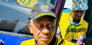 Phosa urges for electoral changes