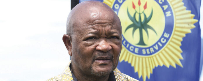 'Ramaphosa doesn't have power to suspend minister Mchunu'