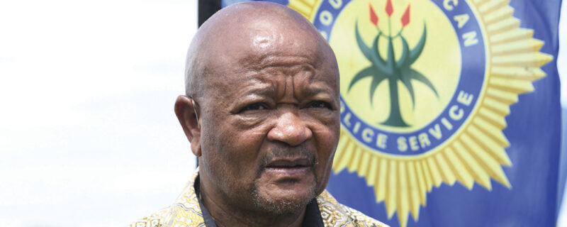 'Ramaphosa doesn't have power to suspend minister Mchunu'