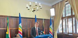 DA saves face: Drops Mark Burke from key finance roles amid Kastelo scandal Cut spending and sell land instead of increasing VAT, says DA