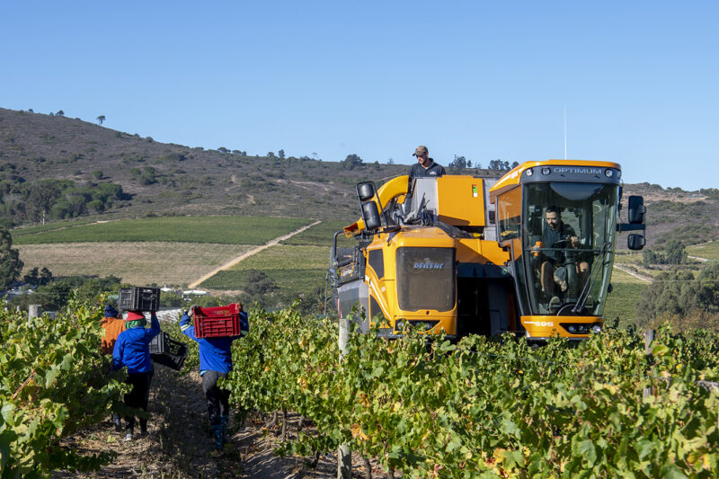 Crop-planting season underway