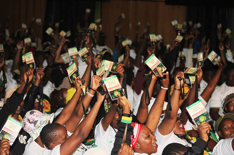 Delegates protest as Free State ANCYL elects all-male PEC 