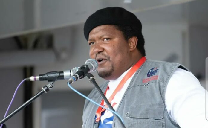 Someone must account for Lily Mine disaster, says UAT leader