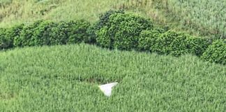Microlight crash site