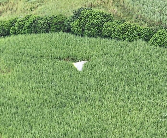 Microlight crash site