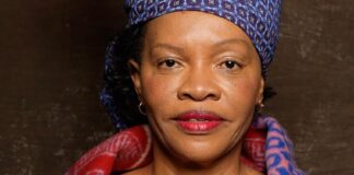 Top Free State government official suspended