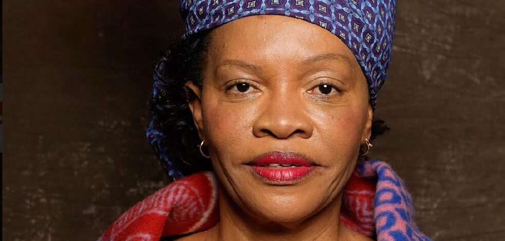 Top Free State government official suspended