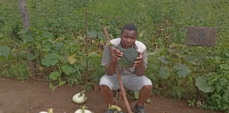 Parly committee fails brutalised black Mpumalanga farm tenant 