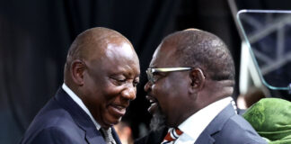 Budget doesn’t back up Sona SMMEs pledges 