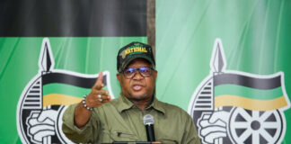 AfriForum gunning for Mbalula