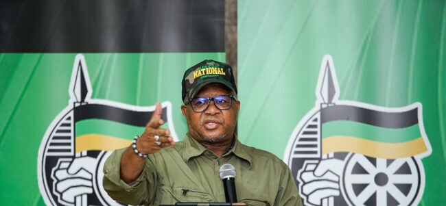 AfriForum gunning for Mbalula