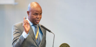 Premier Mandla Ndlovu fires MECs Dlamini, Masilela