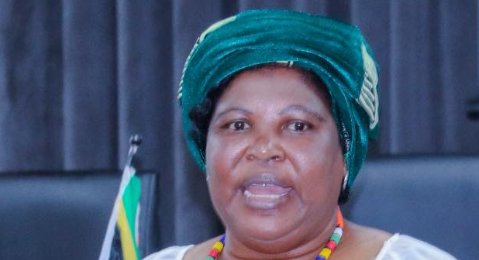 Calls for probe as KZN municipality makes 'dubious' appointments
