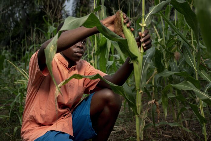 Positive outlook for agricultural sector