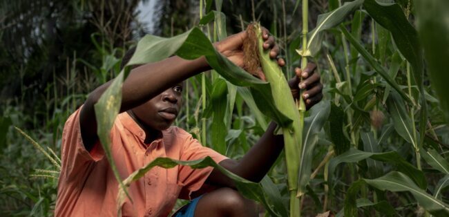 Positive outlook for agricultural sector