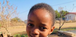 Grade three learner dies in school