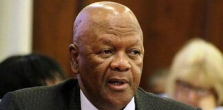 Radebe to testify at Luthuli inquest