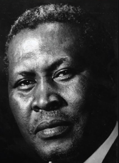 'ANC never paid Chief Albert Luthuli a cent, our family suffered'