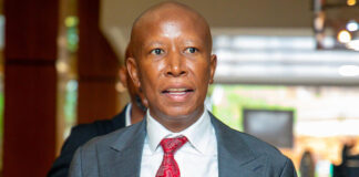 Malema's court challenge dismissed