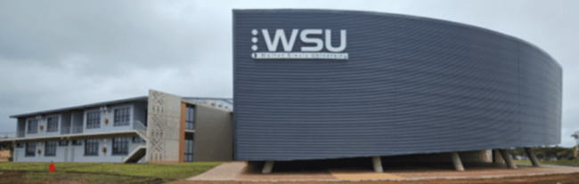 WSU student shot and killed