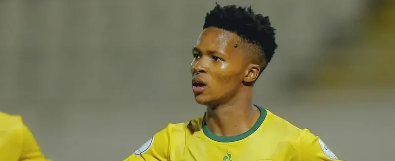 Amajimbos Afcon campaign