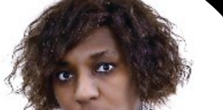Advocate Dinkie Dube appointed deputy public protector