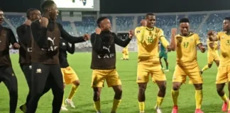 Lesson for Safa as SA sports stars fly our flag high
