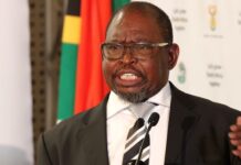 Call for South Africans to share Budget ideas