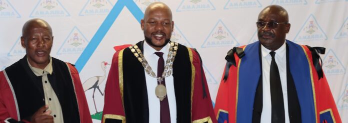 ANC, TSSA challenge election of IFP members to mayoral posts