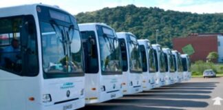 Limpopo entity to bail out struggling bus firm, pay wages, pension