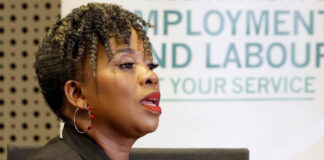 Jobs training fund targets 13 000 unemployed Limpopo youth 