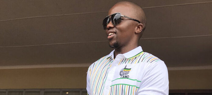 Mantashe’s son speaks out about his axing as a Seta board chairperson 