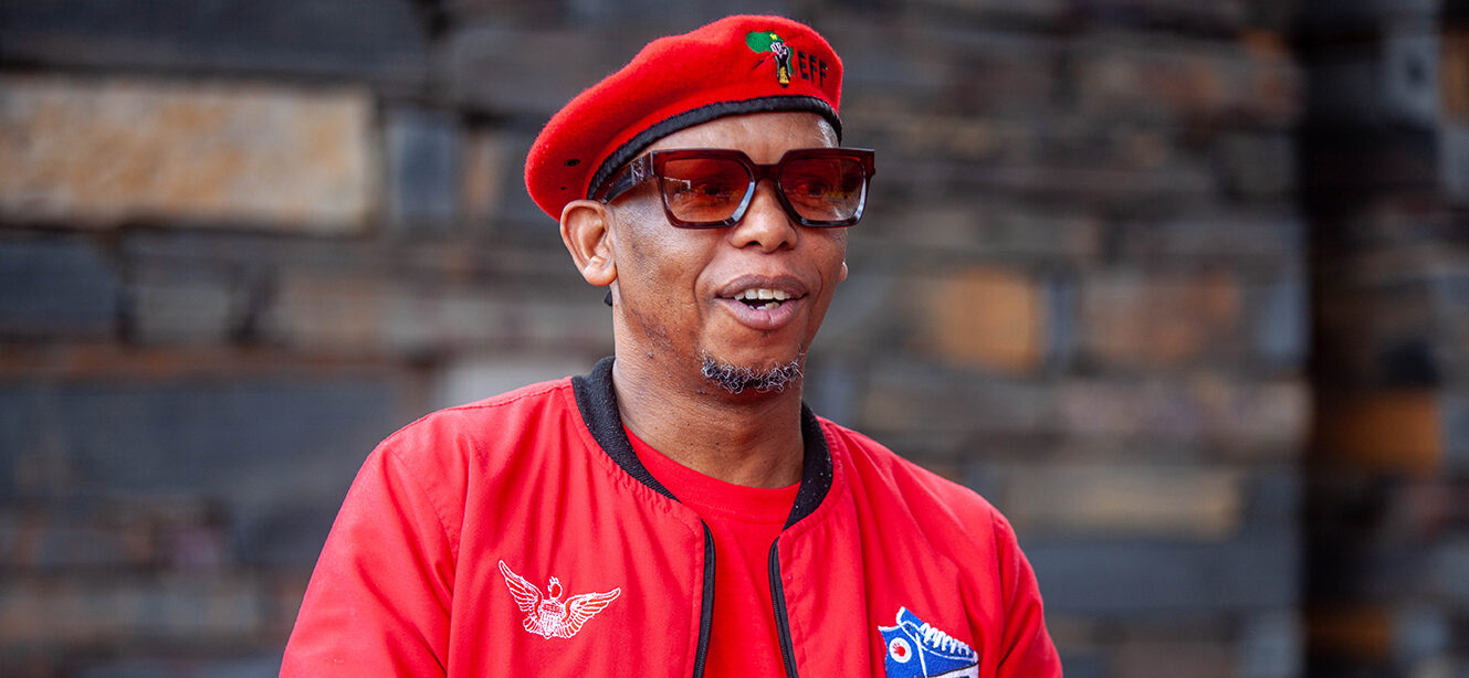 Mthethwa blasts McKenzie's art clusters project
