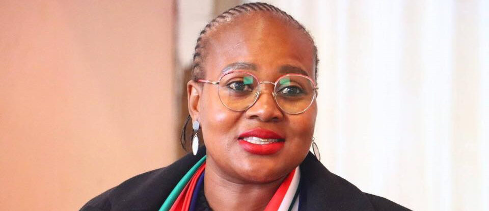 MPAC chairperson and ANC councillor calls Mbalula ‘factionalist’ 