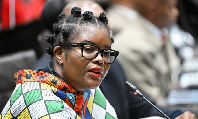 DA lays charges against minister Hlengiwe Nkabane