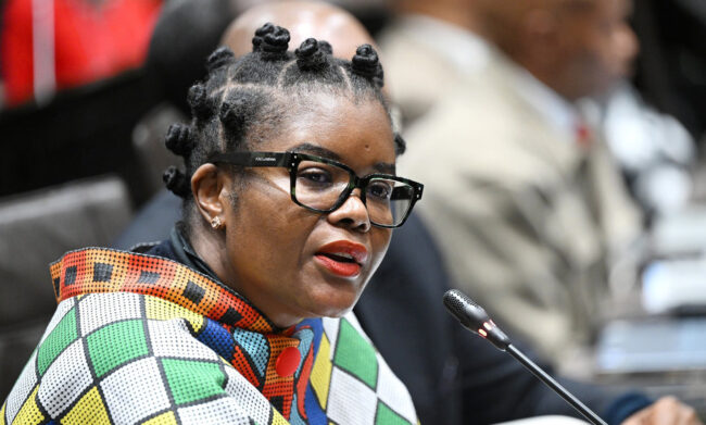 DA lays charges against minister Hlengiwe Nkabane