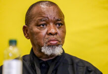Gwede Mantashe emerges triumphant in court