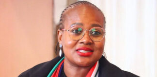 MPAC chairperson and ANC councillor calls Mbalula ‘factionalist’ 