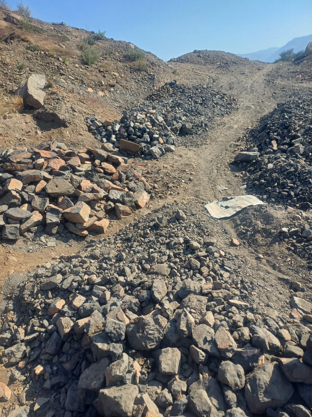Limpopo Police nab three illegal Zimbabwean miners