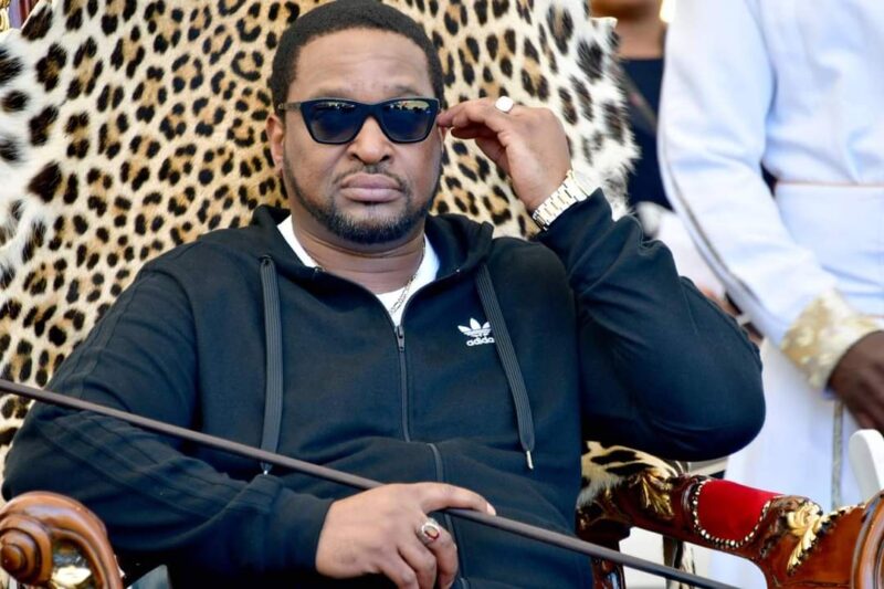 Ingonyama Trust asks Mkhize to show acting CEO Vilakazi ropes
