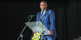 Police portfolio chair calls for probe into Mkhwanazi's claims