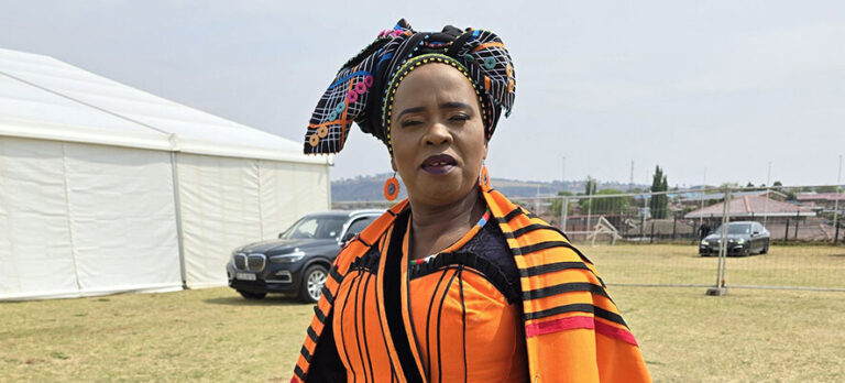 High court orders removal of defamatory posts of Minister Nomakhosazana Meth 
