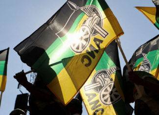 ANC flags