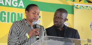 Fight for David Mabuza's millions plays out in court