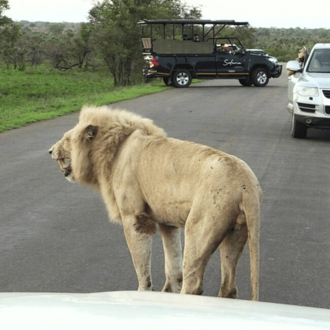 Tourism booming in Mpumalanga