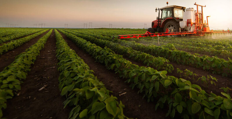 Ex-trustees ‘stole’ R15m from land restitution fund meant for poor 